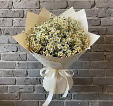 Букет цветов из:  Ромашки в Инженерный-1
