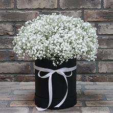 Цветочная композиция из Гипсофила в шляпной коробке в Инженерный-1