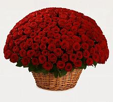 Премиум букет из: Розы в Инженерный-1