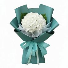Букет цветов из:  Гортензия #REPLACE_PRED# Инженерный-1